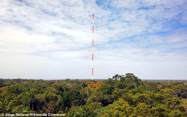 Se han encontrado por primera vez en la atmósfera de la selva amazónica sustancias químicas nocivas que duran tanto tiempo que se las conoce como 