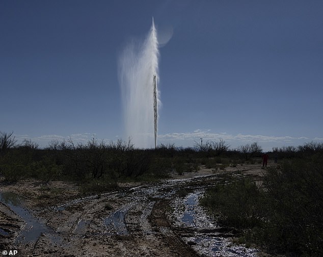 Un géiser entró en erupción en Texas el miércoles y arrojó agua salada contaminada con petróleo a 100 pies de altura (en la foto)