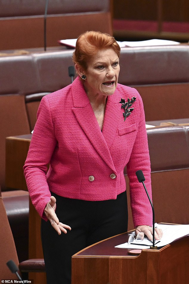 La líder de One Nation, Pauline Hanson, dice que se apresuró a llegar a un acuerdo a puerta cerrada para entregar tierras adyacentes a una ciudad a una corporación indígena.