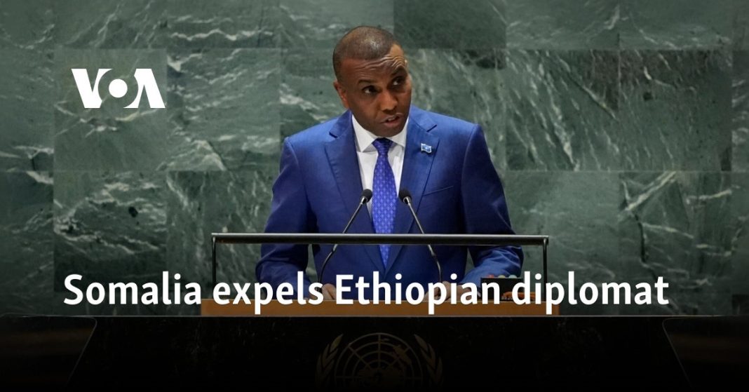 Somalia expulsa a un diplomático etíope
