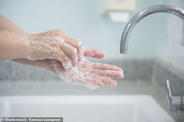 Es algo que a todos nos enseñan cuando nos enseñan a ir al baño cuando éramos niños. Pero una nueva y repugnante encuesta ha revelado cuántas personas no se lavan las manos después de ir al baño (imagen de archivo)