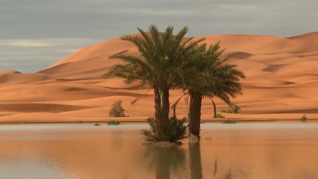 Video. Sin comentarios: lagos en el desierto marroquí
