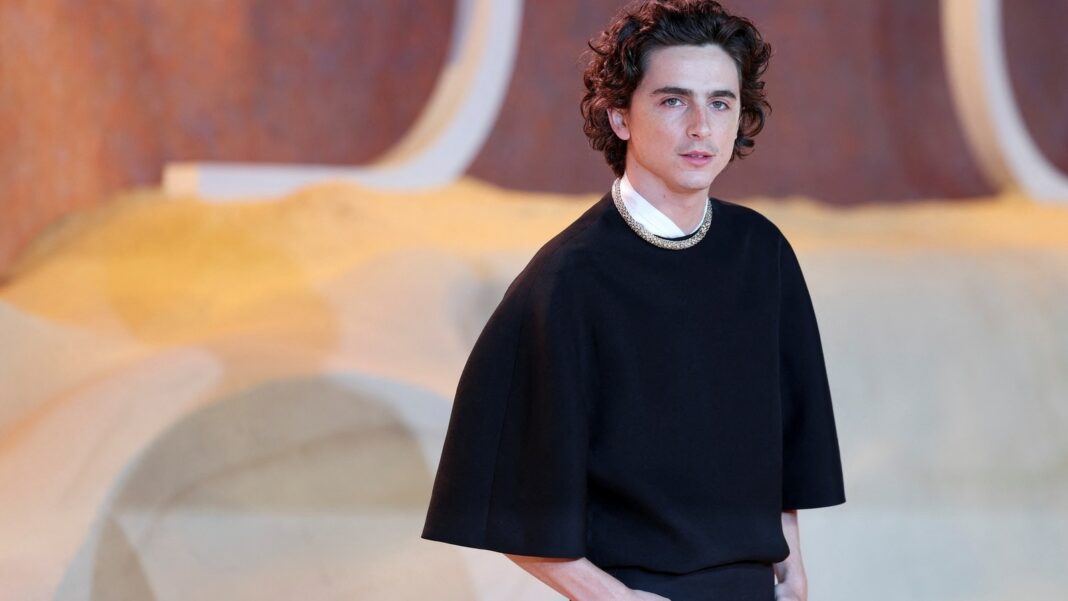 A Timothee Chalamet le dijeron que no tenía el 