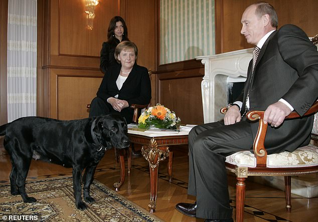 Angela Merkel afirmó que Vladimir Putin había llevado deliberadamente a su mascota Connie a su primera reunión en un intento de intimidarla y ponerla nerviosa, sabiendo que le tenía miedo a los perros.