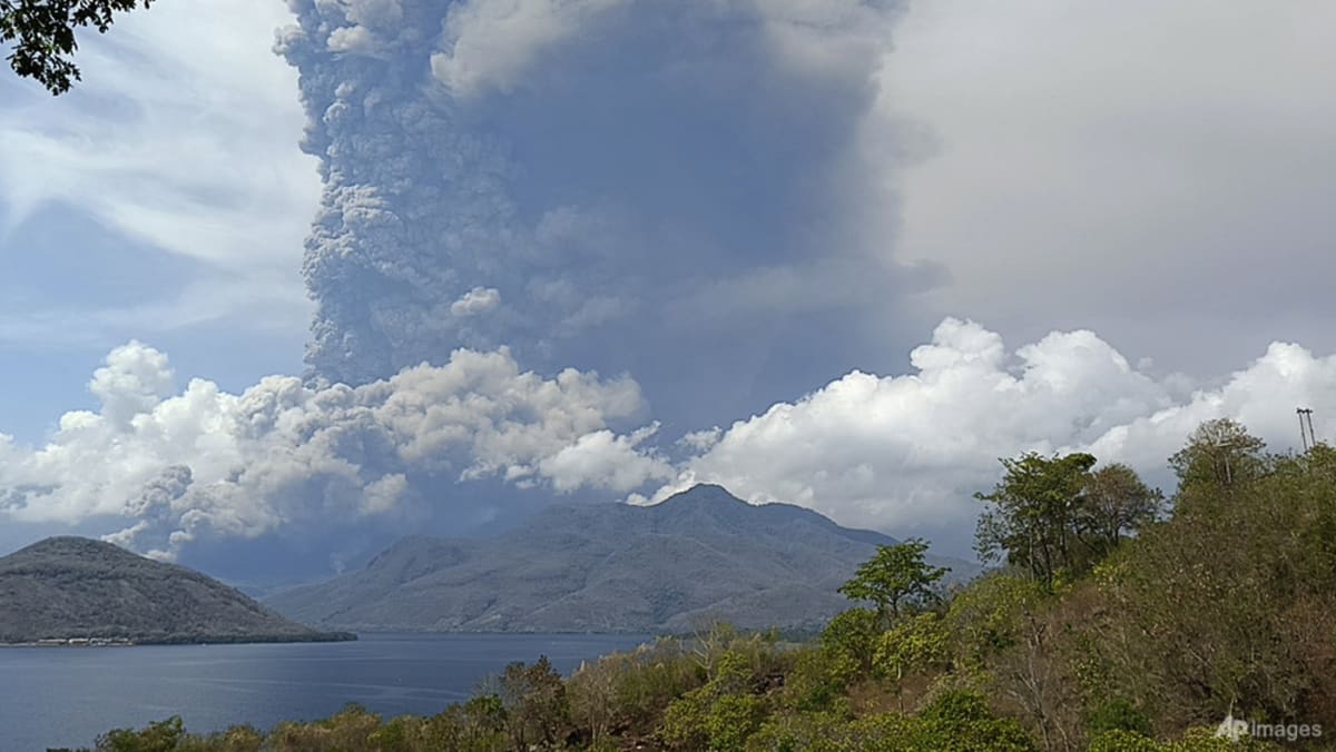 CNA explica: ¿Qué sucede cuando un avión choca contra una nube de ceniza volcánica?
