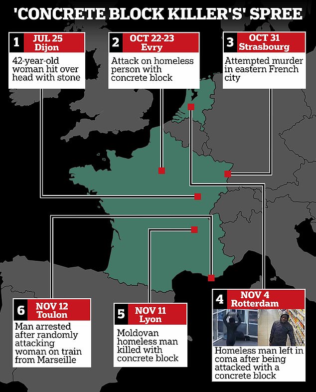 El 'asesino' migrante que 'mató a golpes a un hombre con un bloque de hormigón y llevó a cabo una serie de ataques en toda Europa' es arrestado en Francia 'después de ignorar la orden de deportación y agredir a una mujer en un tren'
