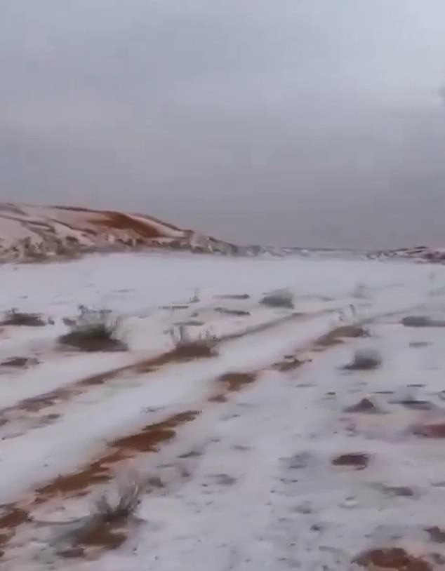 La región de Al-Jawf en Arabia Saudita se ha transformado en un paraíso invernal después de que una extraña tormenta de granizo tiñó el desierto de blanco.