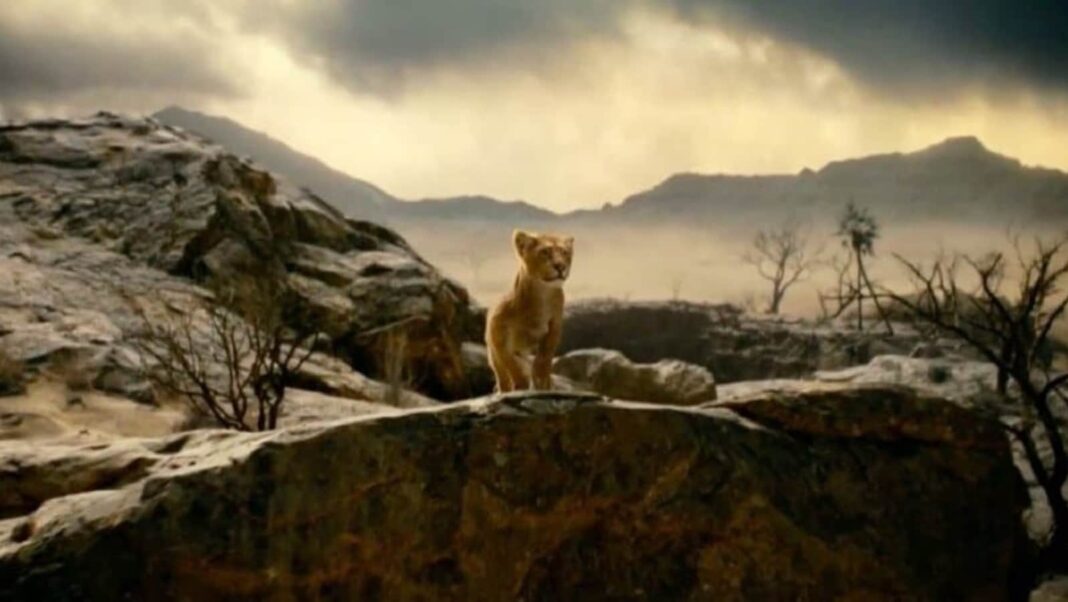 El tráiler de Mufasa: El Rey León muestra grandes aventuras; Los fanáticos no pueden decidir entre las voces en off de Shah Rukh Khan y Mahesh Babu.
