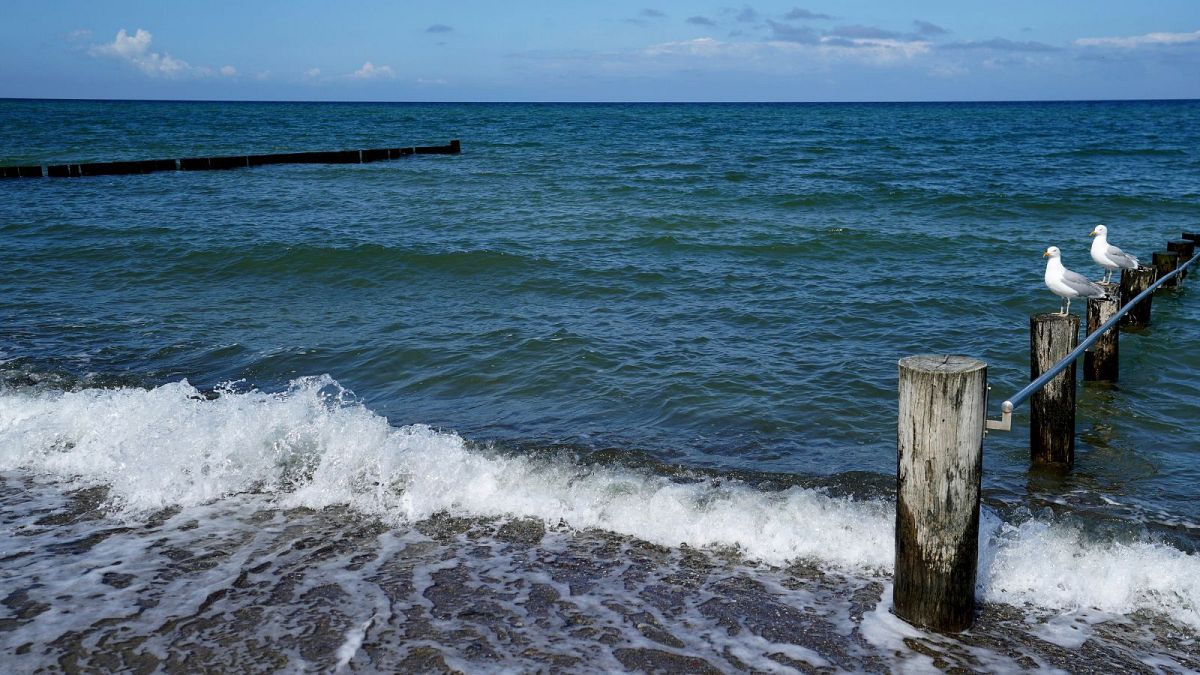 Finlandia y Alemania descubren un cable de datos cortado a través del Mar Báltico
