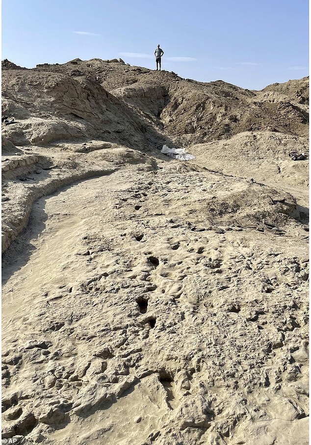 Los arqueólogos descubrieron cuatro conjuntos de huellas conservadas en el barro de la cuenca de Turkana en Kenia, un sitio que ha sido crucial para comprender la evolución humana.