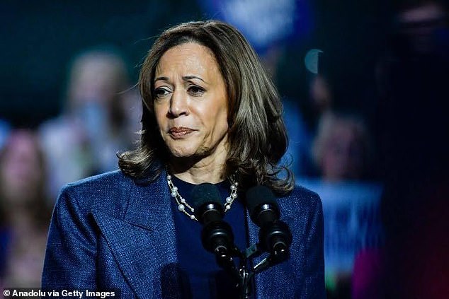 Kamala Harris no logró superar de manera convincente a Joe Biden en un solo condado de EE. UU., según muestra un análisis preliminar