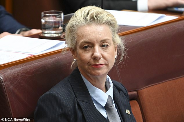 La senadora nacional Bridget McKenzie (en la foto) lanzó una sorprendente reprimenda a la presentadora de ABC Patricia Karvelas después de que ella intentó acusar a la oposición de estar confabulada con la persona más rica de Australia, recordándole que una fuerte industria minera ayuda a financiar la emisora ​​nacional.