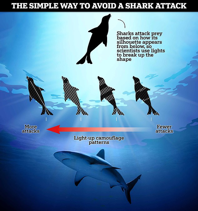 Los científicos han descubierto que colocar luces brillantes en un objeto como un señuelo con forma de foca o una tabla de surf en realidad reduce la frecuencia con la que atacan los grandes tiburones blancos. Los investigadores creen que esto podría usarse para fabricar elementos disuasorios para los tiburones que salven vidas a los surfistas.