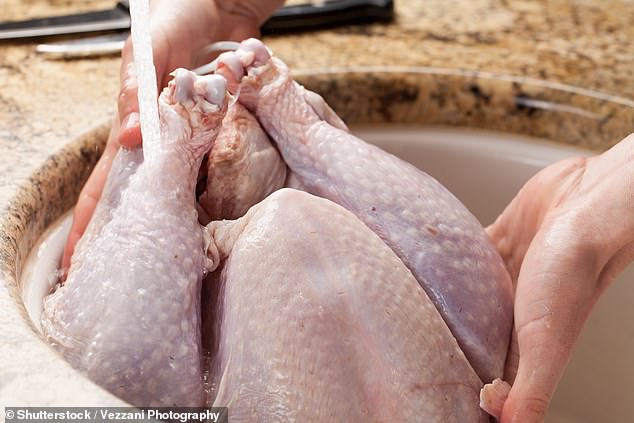 Contrariamente a la creencia popular, los expertos dicen que no debes lavar el pavo crudo, ya que esto puede propagar gérmenes a otros alimentos en tu cocina, lo que aumenta el riesgo de intoxicación alimentaria (imagen de archivo)