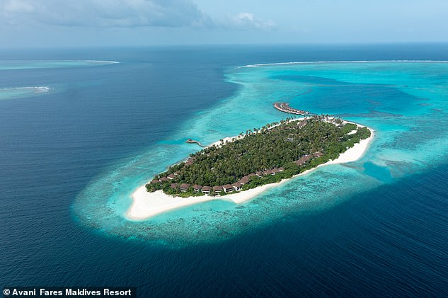 Carol Driver hace un viaje a Avani+ Fares Maldives (arriba), ubicado en el extremo occidental del 