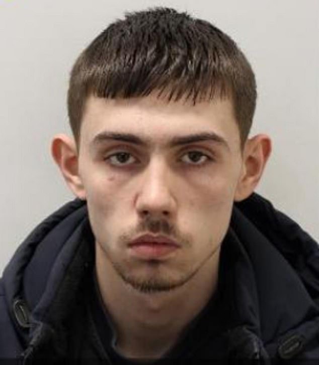 David Doyle, de 19 años, de Brick Lane, Northolt, fue sentenciado a cinco años y medio de prisión en el Harrow Crown Court el 14 de noviembre.