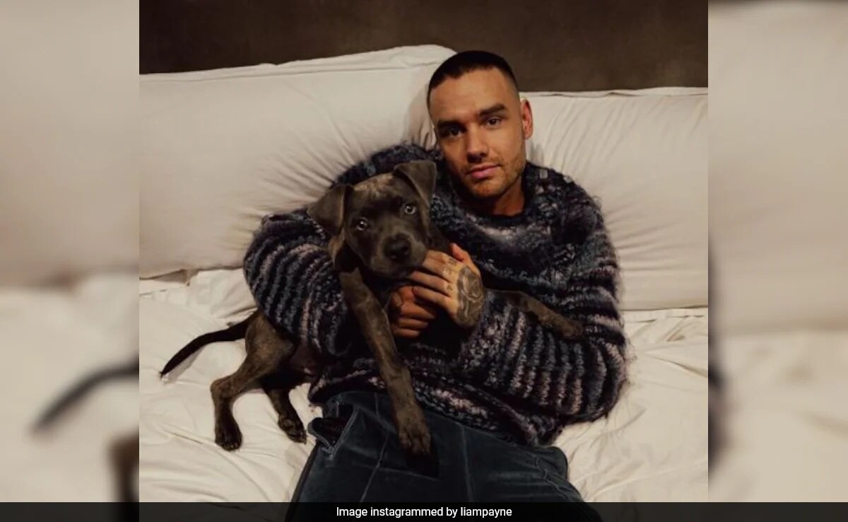 Muerte de Liam Payne: todo lo que necesitas saber sobre el ex miembro de One Direction
