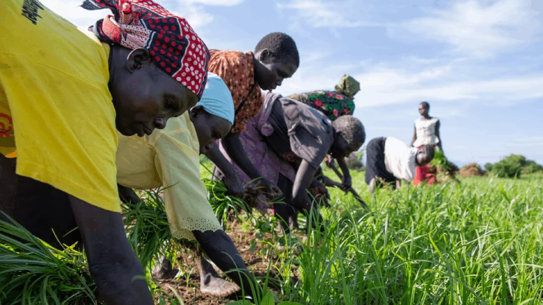 Necesidad urgente de ayuda alimentaria en Sudán del Sur -PMA — Mundo — The Guardian Nigeria News – Nigeria and World News
