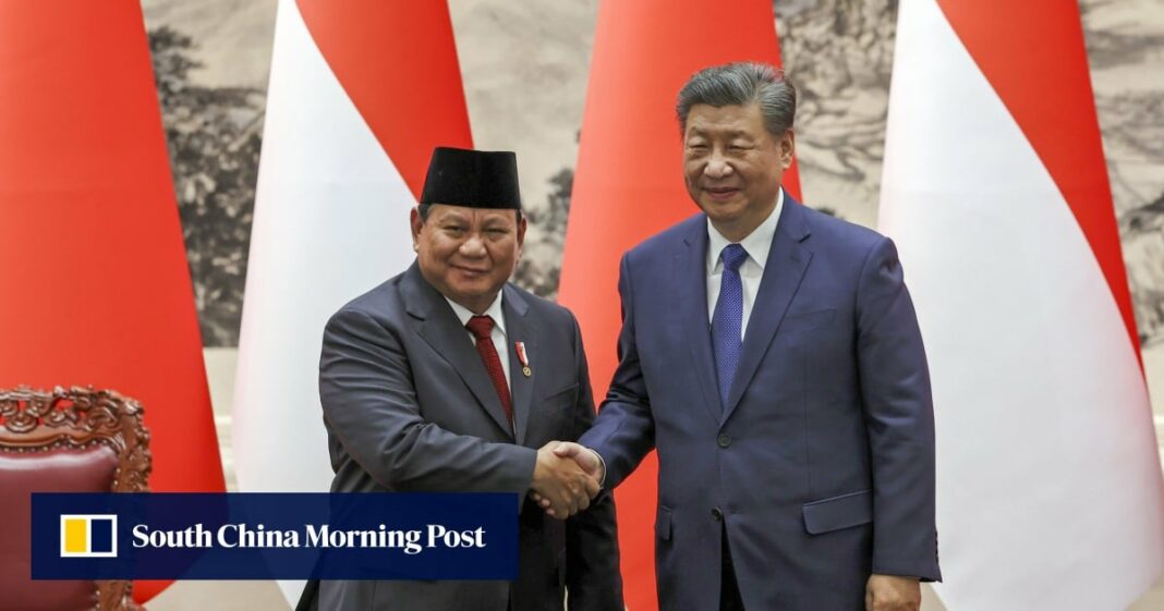 Se insta al líder indonesio Prabowo a unirse a China para liderar el Sur Global
