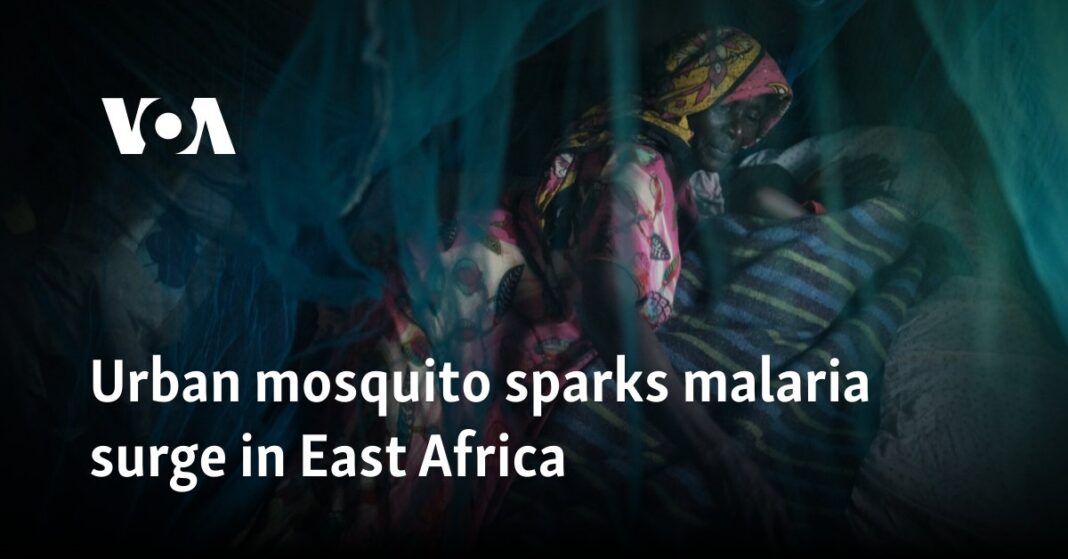 Un mosquito urbano provoca un aumento de la malaria en África Oriental
