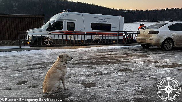 Belka (en la foto) fue vista estoicamente esperando a su dueño, quien trágicamente se ahogó tras caer por el hielo de un río helado mientras intentaba tomar un atajo.