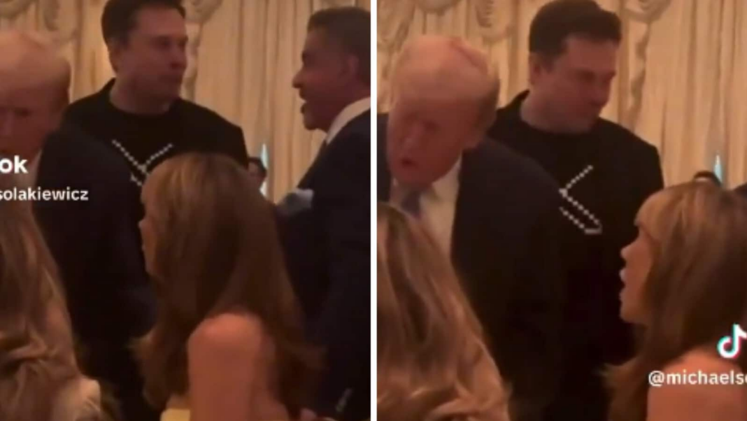 Un video filtrado de la cena de Acción de Gracias de Trump muestra a Elon Musk con Sylvester Stallone. Mirar
