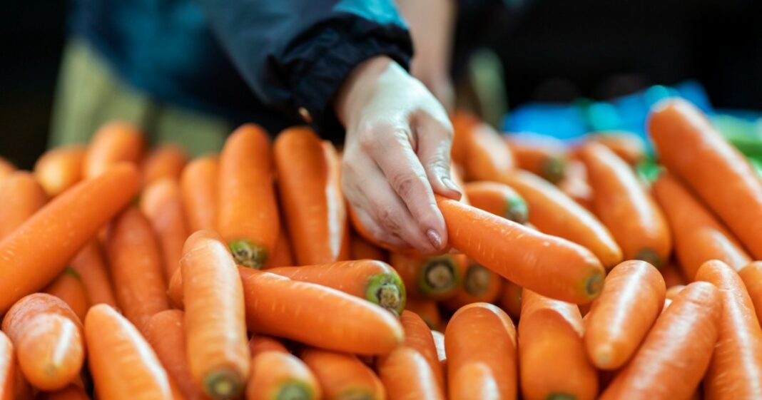 ¿Por qué Grimmway Farms retiró del mercado las zanahorias en California? Brote de E. coli explicado
