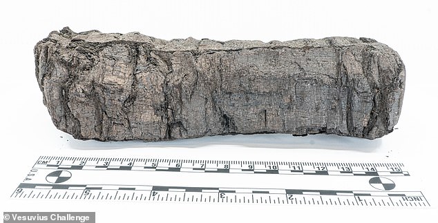 El rollo de Bodleiano conocido oficialmente por los estudiosos como PHerc.172 fue uno de los alrededor de 1.800 rollos de papiro convertidos en carbono por la erupción del Monte Vesubio en el año 79 d.C.