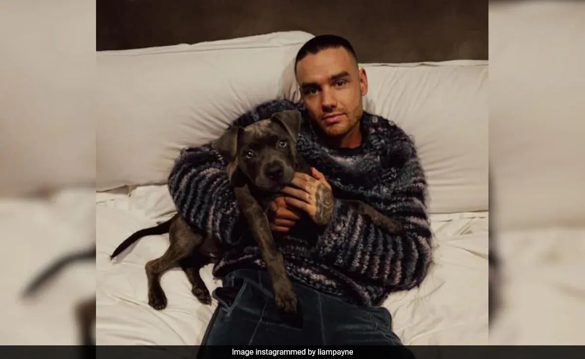 "¿Vendrías a mi funeral?": El antiguo tweet de Liam Payne resurge mientras el miembro de One Direction es enterrado
