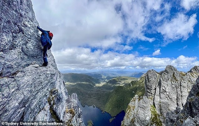 Un hombre victoriano murió después de caerse de una dura pista de senderismo en Federation Peak (imagen de archivo), en el suroeste de Tasmania, el lunes.