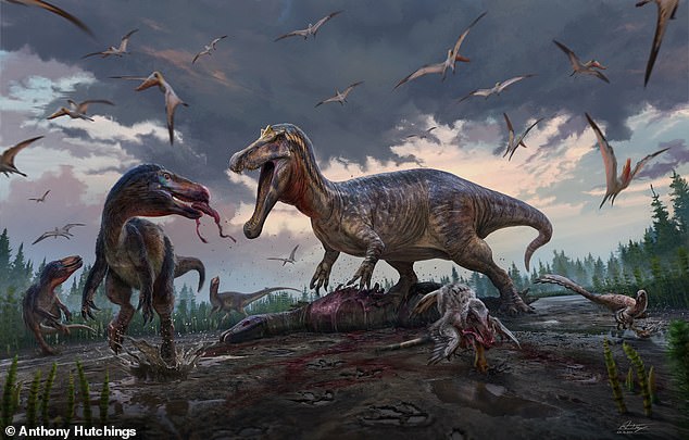 Un cazador de dinosaurios aficionado ha hecho un descubrimiento sorprendente que demuestra que la costa sur de Inglaterra era el hogar de una amplia variedad de depredadores, incluido un pariente del Tyrannosaurus Rex.