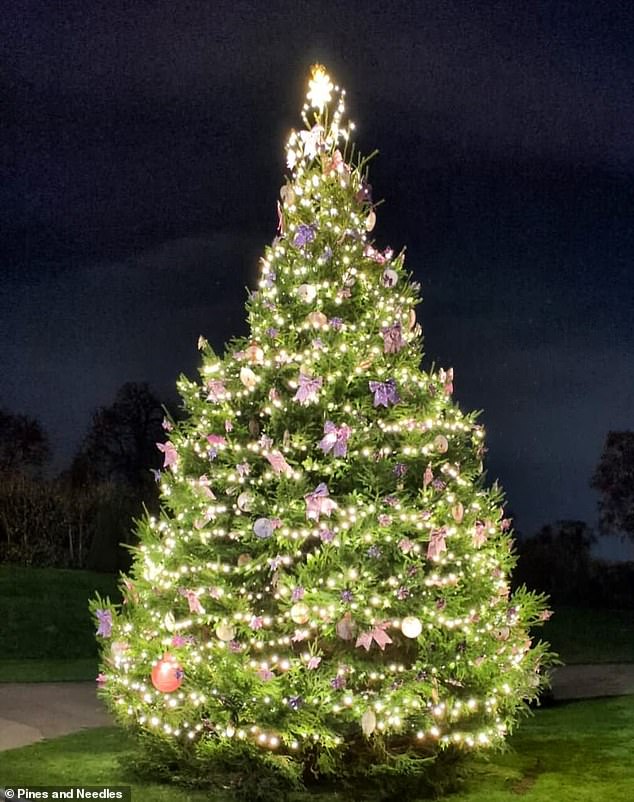 Como proveedor de confianza del Palacio de Blenheim, los jardines del Palacio de Kensington (en la foto) y el Royal Variety Performance de este año, Pines and Needles son expertos en decoración majestuosa.