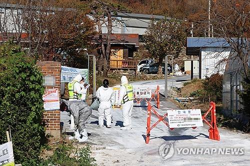 S. Korea reports new avian influenza case at regional farm