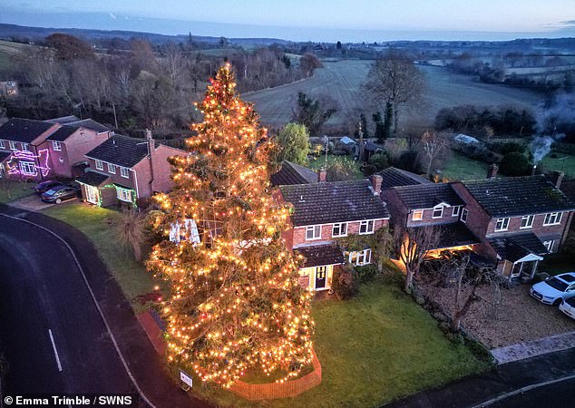 Este año, el árbol de Rowlands cuenta con miles de luces parpadeantes, que actúan como la iluminación más grande en uno de los pueblos más oscuros del Reino Unido debido a que no hay luces en las calles.