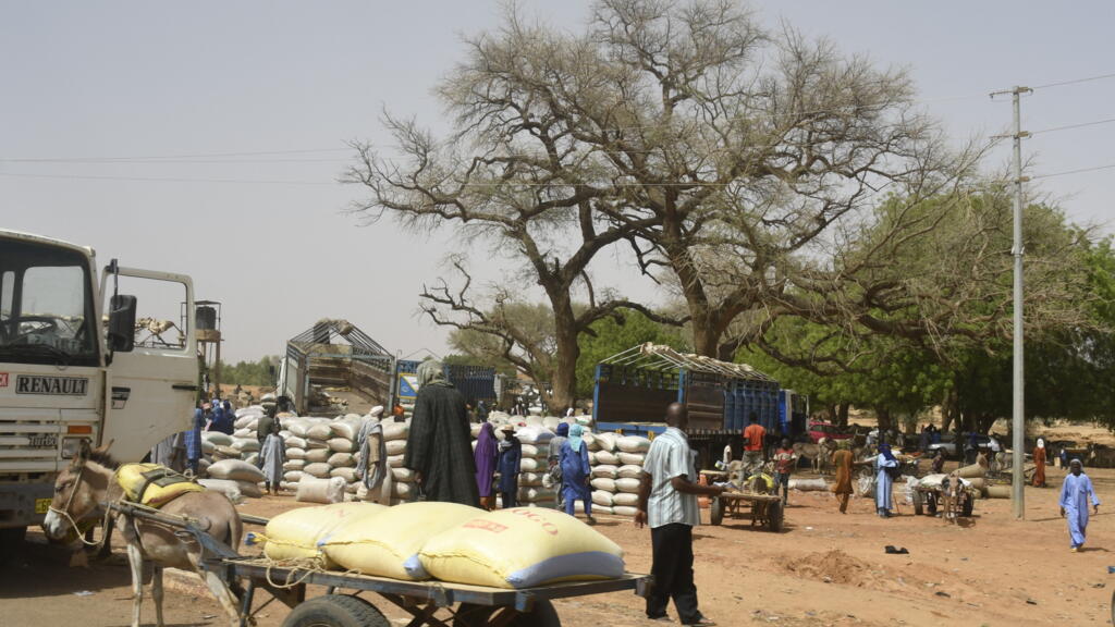 El Ministerio de Defensa de Níger dice que 39 muertos en ataques "horribles" cerca de la frontera con Burkina Faso
