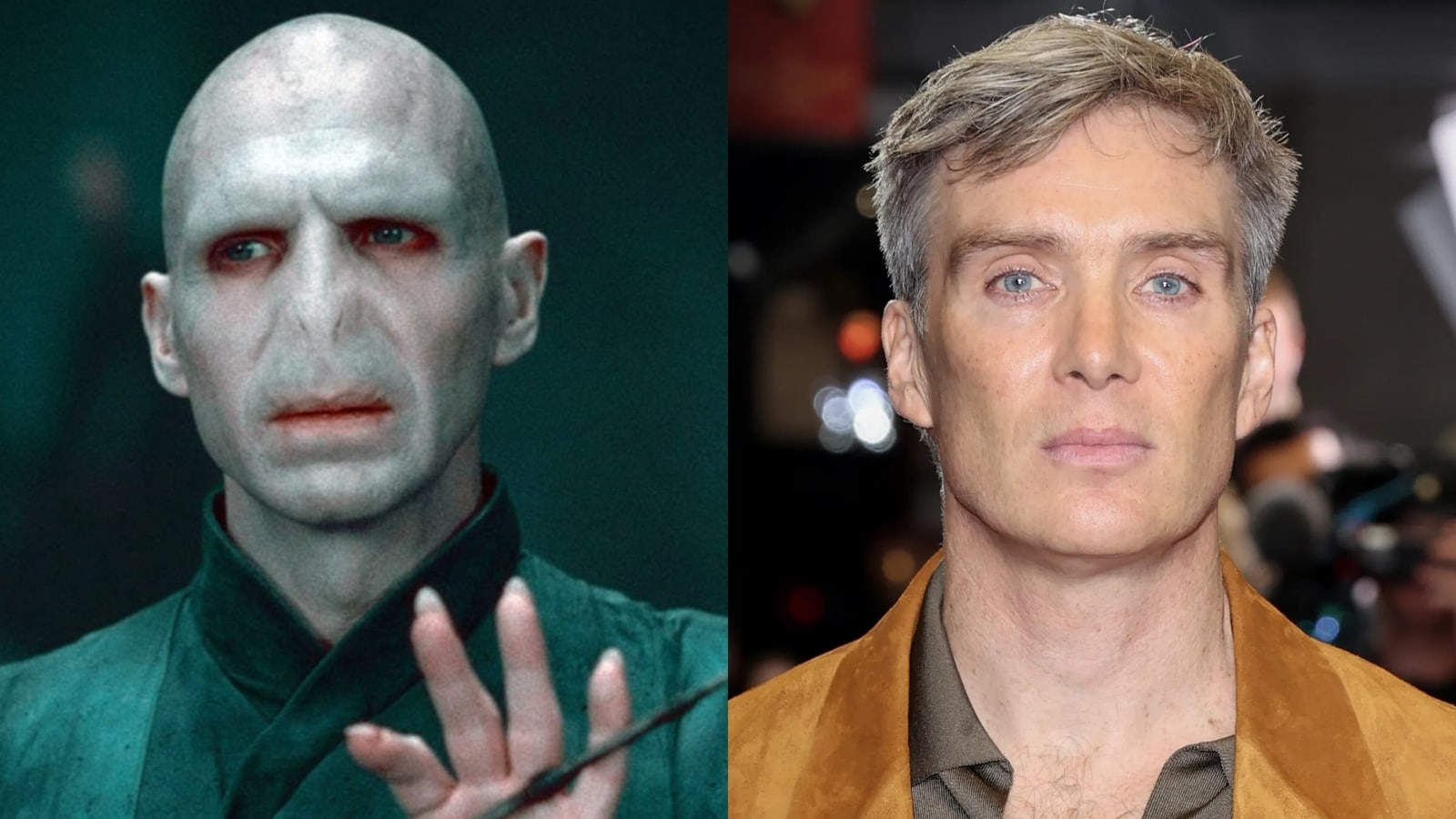 El Voldemort original Ralph Fiennes está "todo a favor de Cillian Murphy" como el Señor Oscuro en la serie de televisión de Harry Potter.
