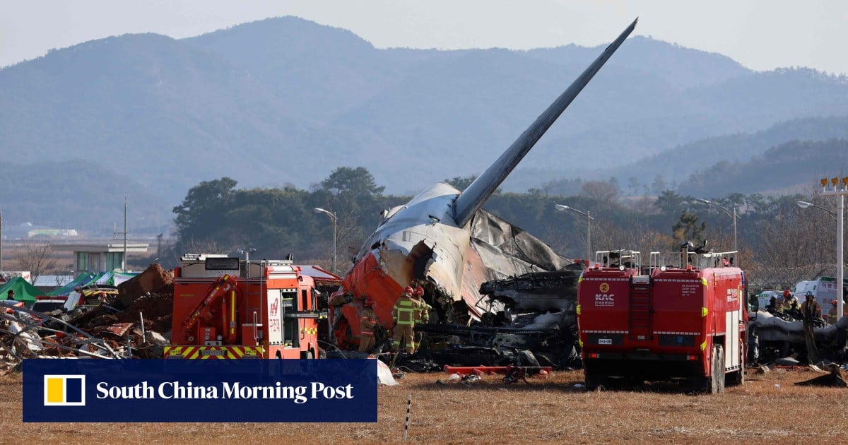 El aeropuerto de Corea del Sur tenía solo un trabajador para ahuyentar a las aves durante el accidente aéreo
