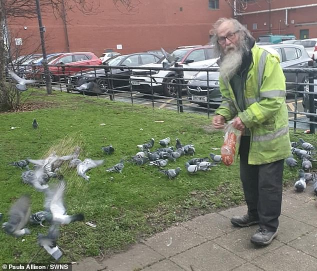 Brian Wilkins, de 76 años, ha sido llevado a los tribunales por un ayuntamiento por alimentar a los pájaros de su ciudad.