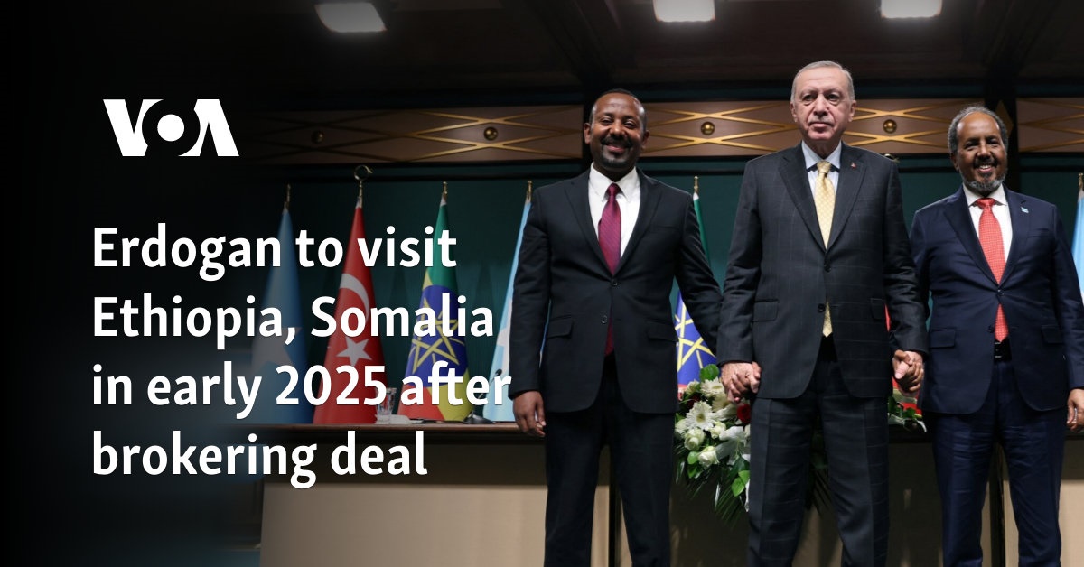 Erdogan visitará Etiopía y Somalia a principios de 2025 tras negociar un acuerdo
