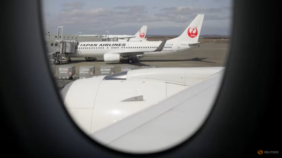 Fuertes nevadas en Japón perturban el tráfico aéreo durante las vacaciones
