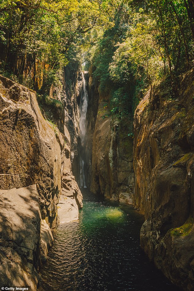 El lunes se reanudará la búsqueda de un excursionista que se cayó en Badinda Falls (en la foto) el domingo.