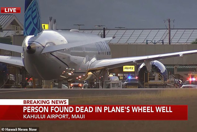 Un cadáver fue encontrado al volante de un avión de United Airlines después de aterrizar en el aeropuerto de Maui en Hawaii.