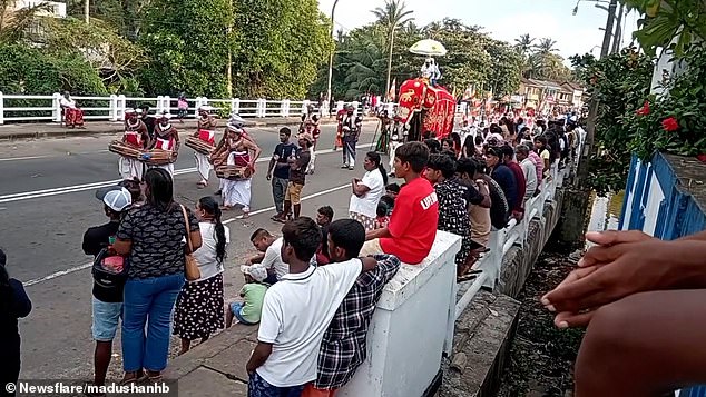 El festival budista Perera, que tuvo lugar en la ciudad suroccidental de Galle, quedó paralizado por el terror cuando el animal gigante perdió la calma a mitad de un desfile.