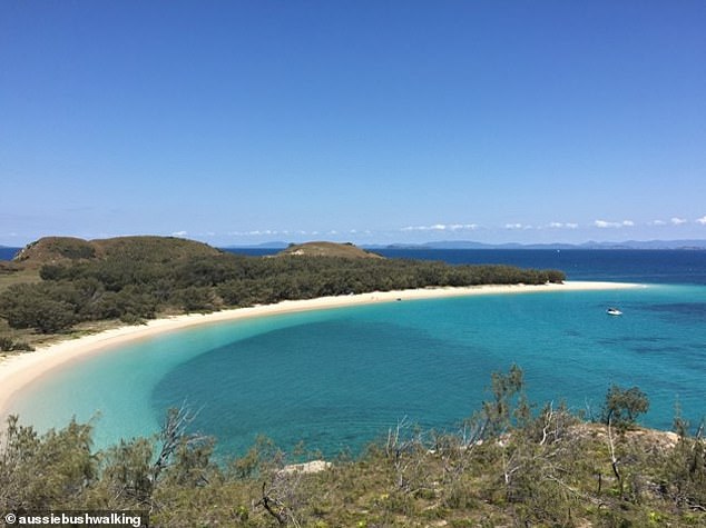 Un hombre de 40 años murió después de ser mordido en el cuello por un tiburón frente a la isla Humpy en el Parque Nacional de las Islas Keppel Bay, a unos 18 kilómetros de la costa central de Queensland el sábado.