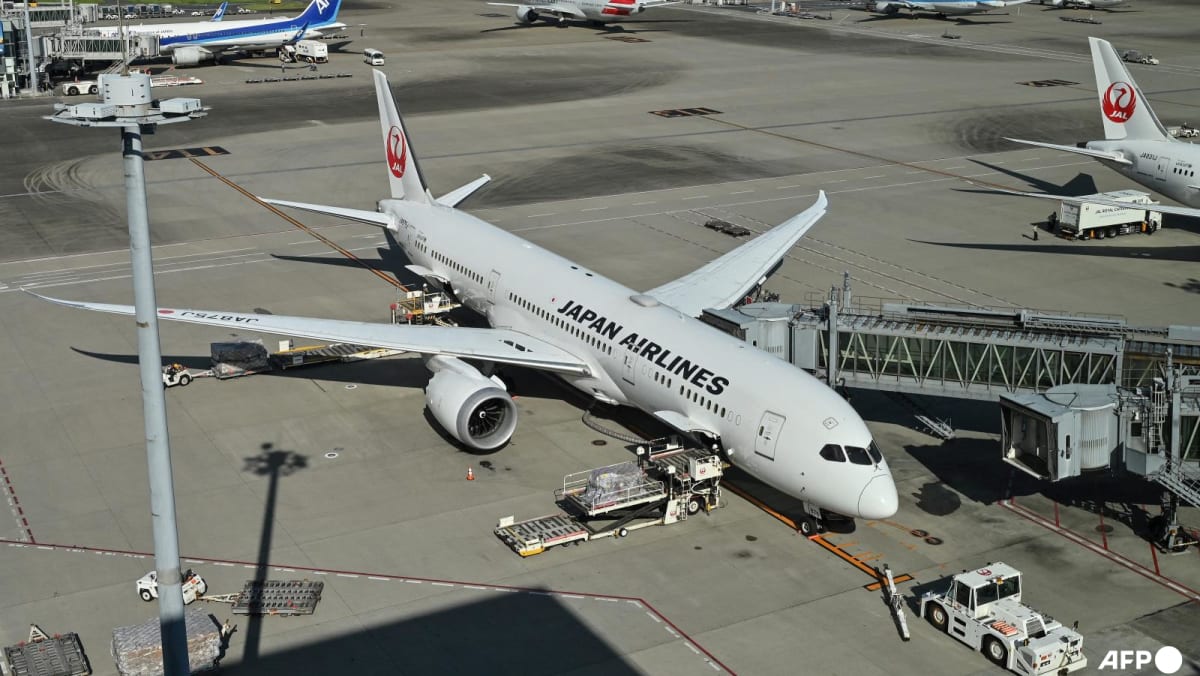 Japan Airlines denuncia ciberataque
