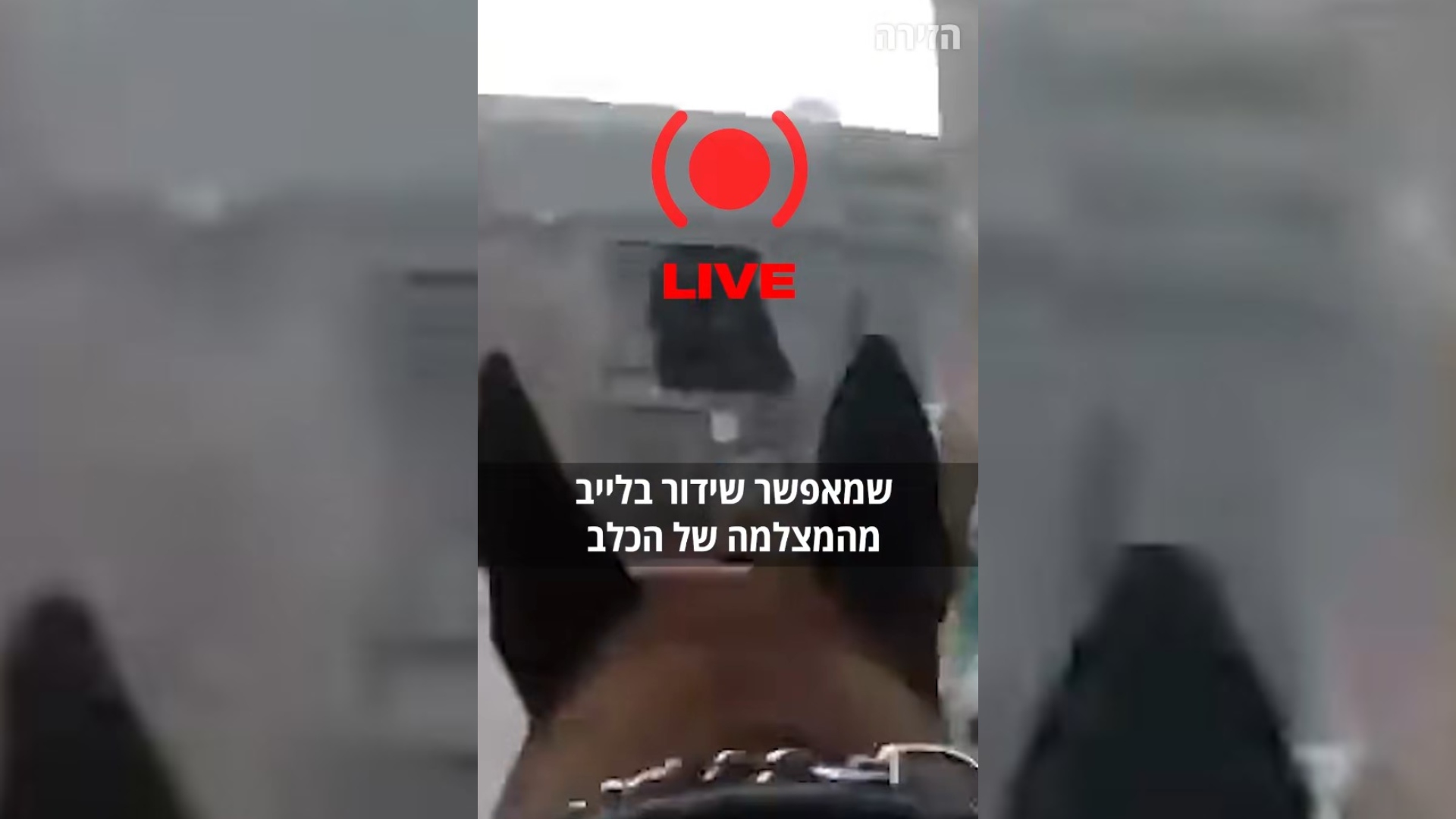 La Universidad de Tel Aviv desarrolló cámaras de perros en vivo para una unidad del ejército vinculada a los ataques a Gaza
