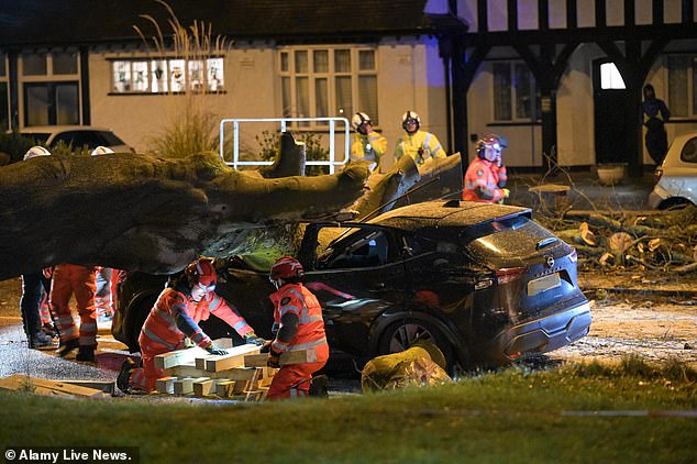 Un hombre murió después de que su coche fuera atropellado por la caída de un árbol durante la fuerte tormenta Darragh.