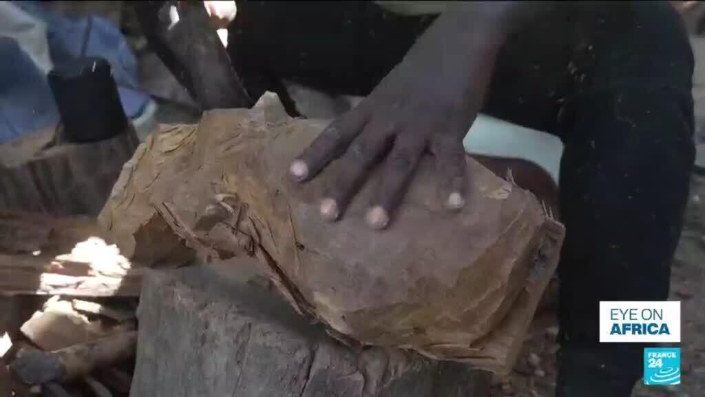 Los artesanos de Senegal participan por primera vez en la Bienal de Dakar
