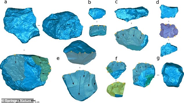 La forma en que se tallaban las herramientas, o se les daba forma al golpearlas con una piedra, seguía una secuencia común, lo que sugiere que estos antiguos humanos podrían usar un modelo mental.