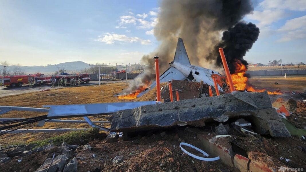 Los expertos cuestionan el choque con aves como causa del mortal accidente aéreo de Jeju en Corea del Sur
